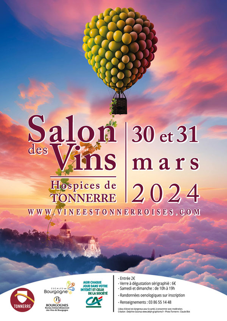 Les Vinées Tonnerroises salon des vins 2024