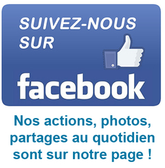 Vignette FB