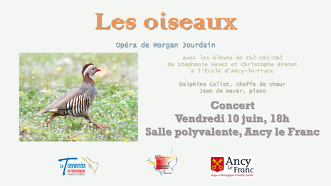 Les oiseaux concert Conservatoiure Ancy-le-Franc 