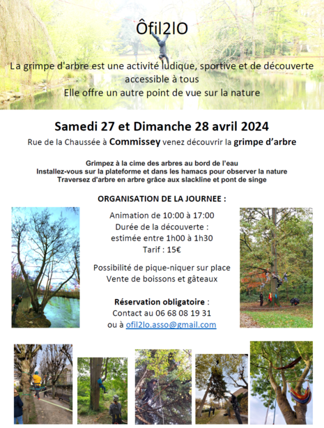 O Fil 2 l'O grimpe d'arbres 