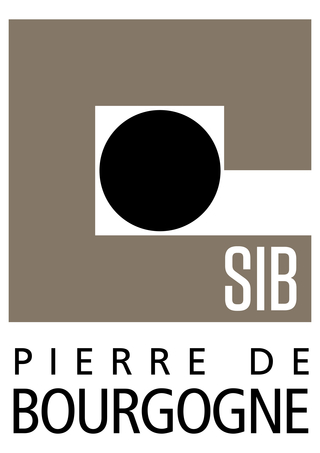 Logo SIB